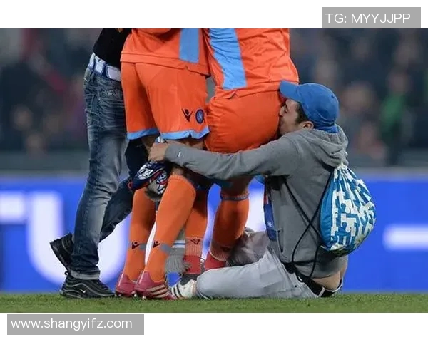 球迷视角:探索体育文化中的激情与情感纽带