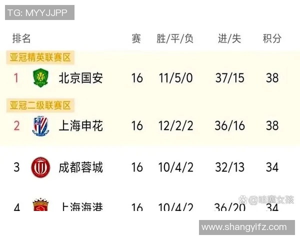 北京排球队在洲际杯积分榜中以65分稳居第一名展现强劲实力